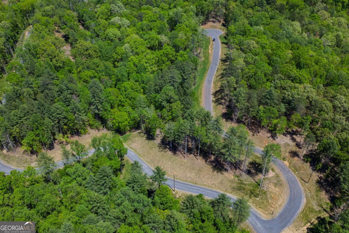 Lot 343 Shallow Branch Drive Property Photo 14
