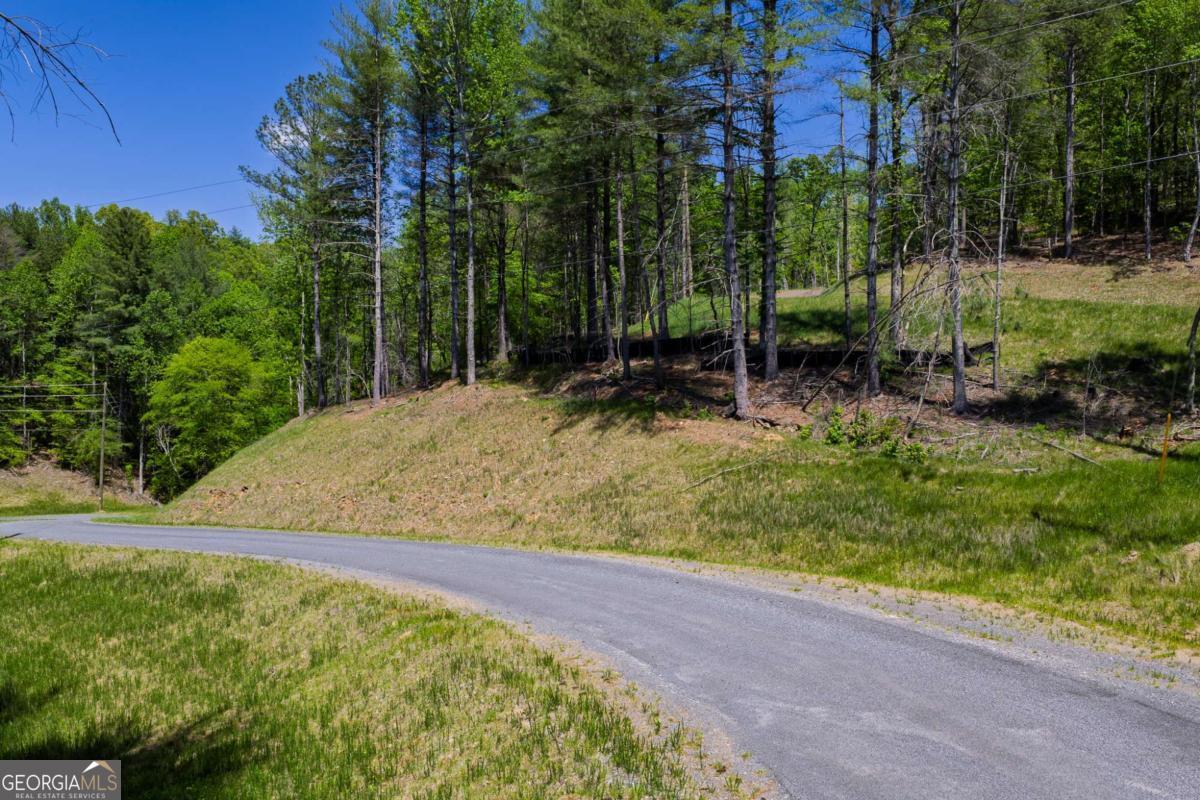 Lot 343 Shallow Branch Drive Property Photo 15