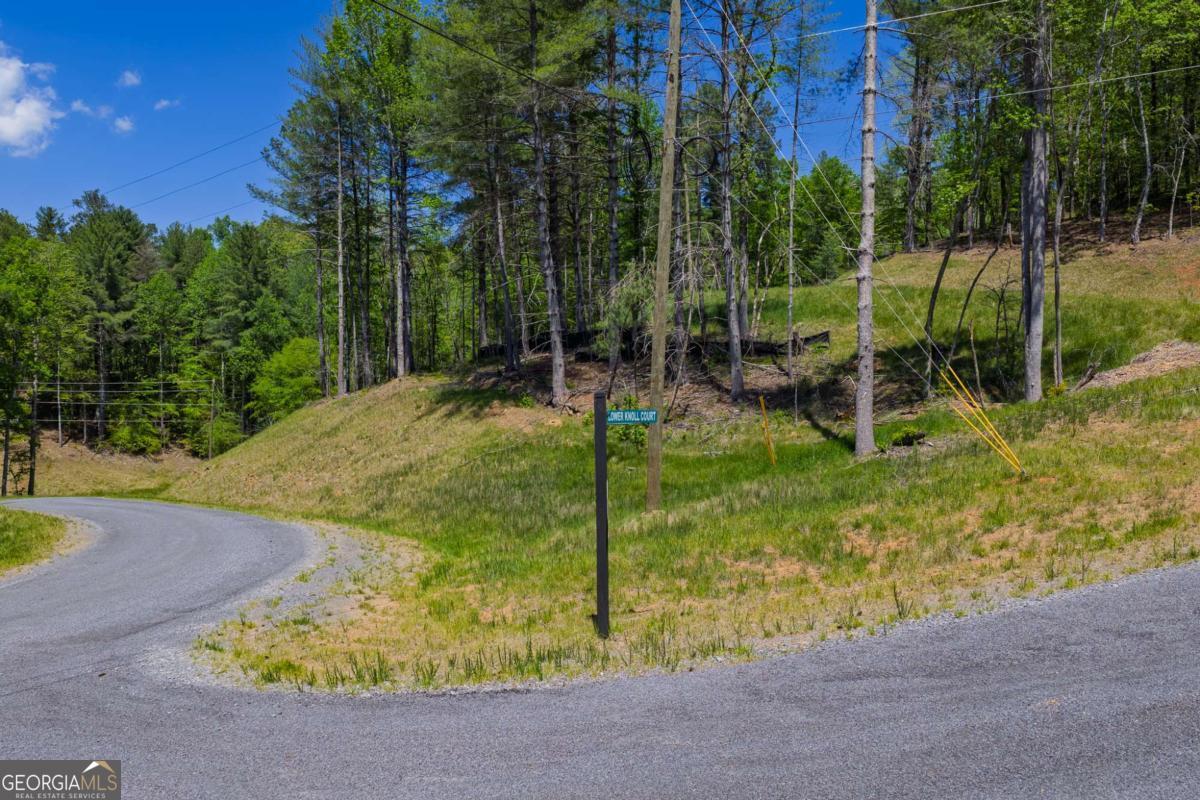 Lot 343 Shallow Branch Drive Property Photo 16