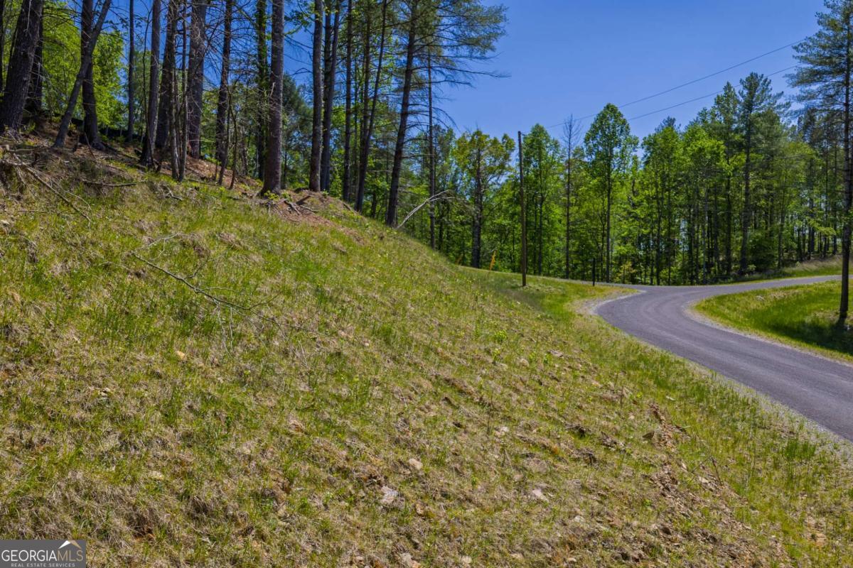 Lot 343 Shallow Branch Drive Property Photo 17