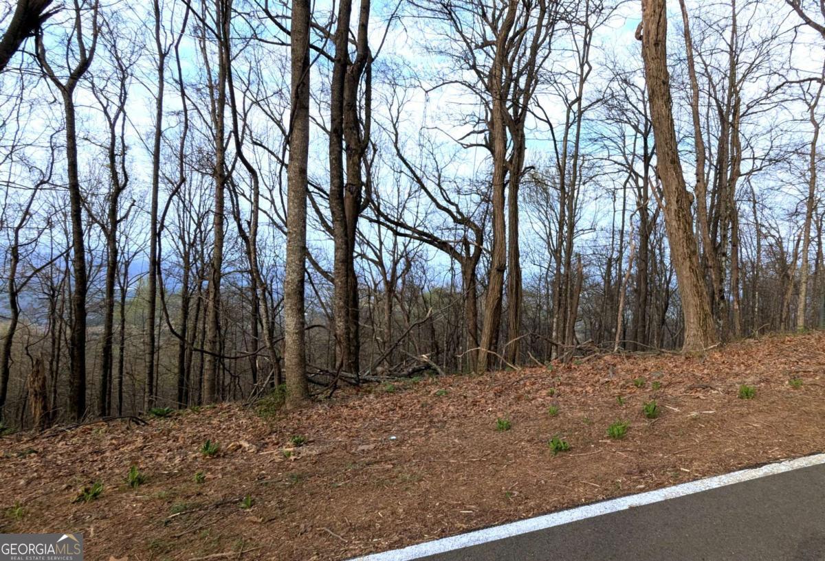 7188 Ridgeview Drive Property Photo 2