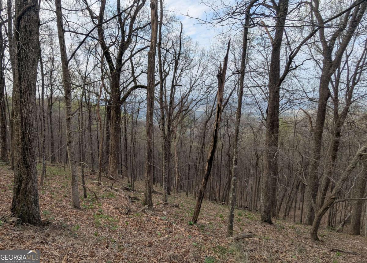 7188 Ridgeview Drive Property Photo 3
