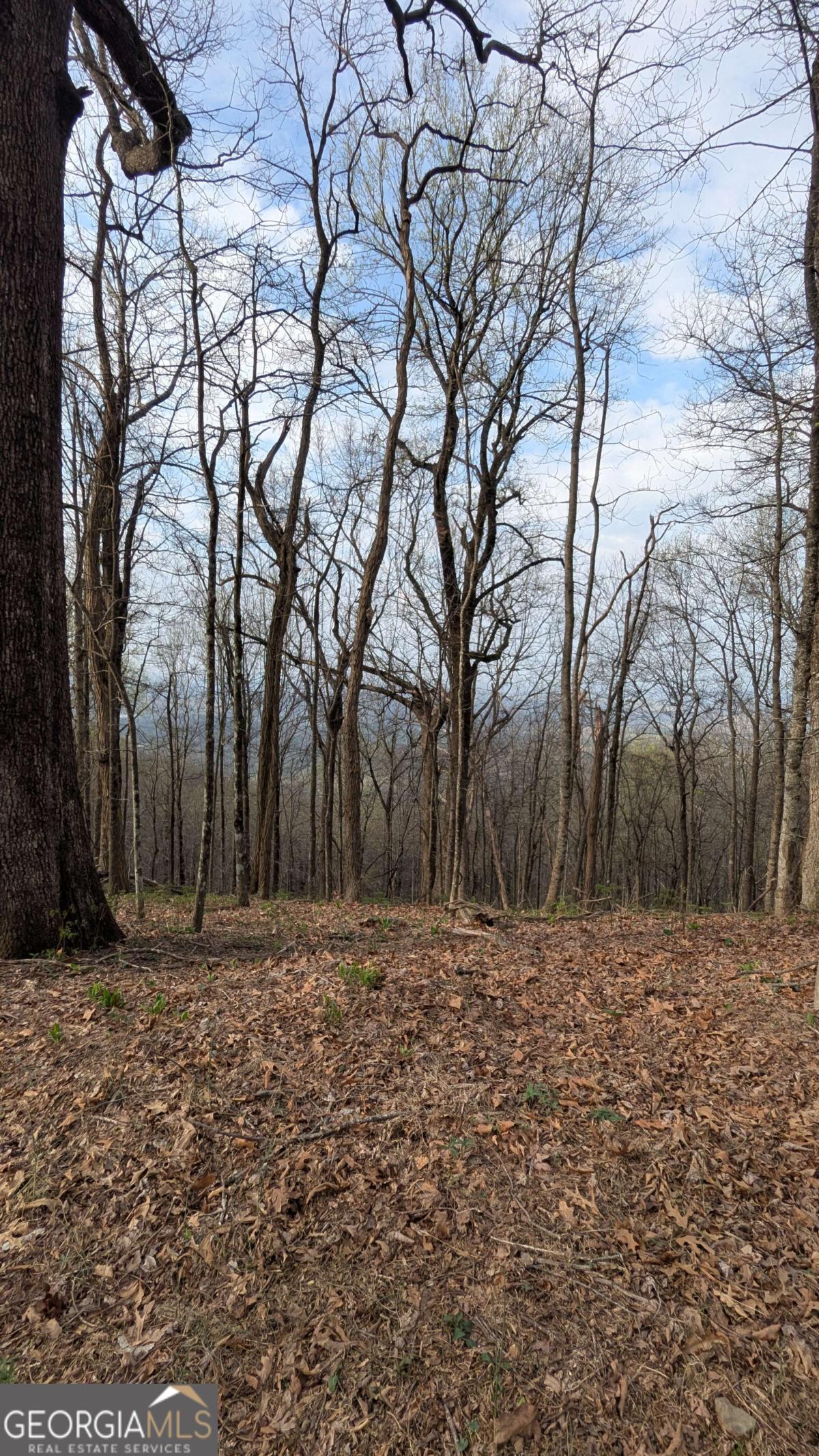 7188 Ridgeview Drive Property Photo 4