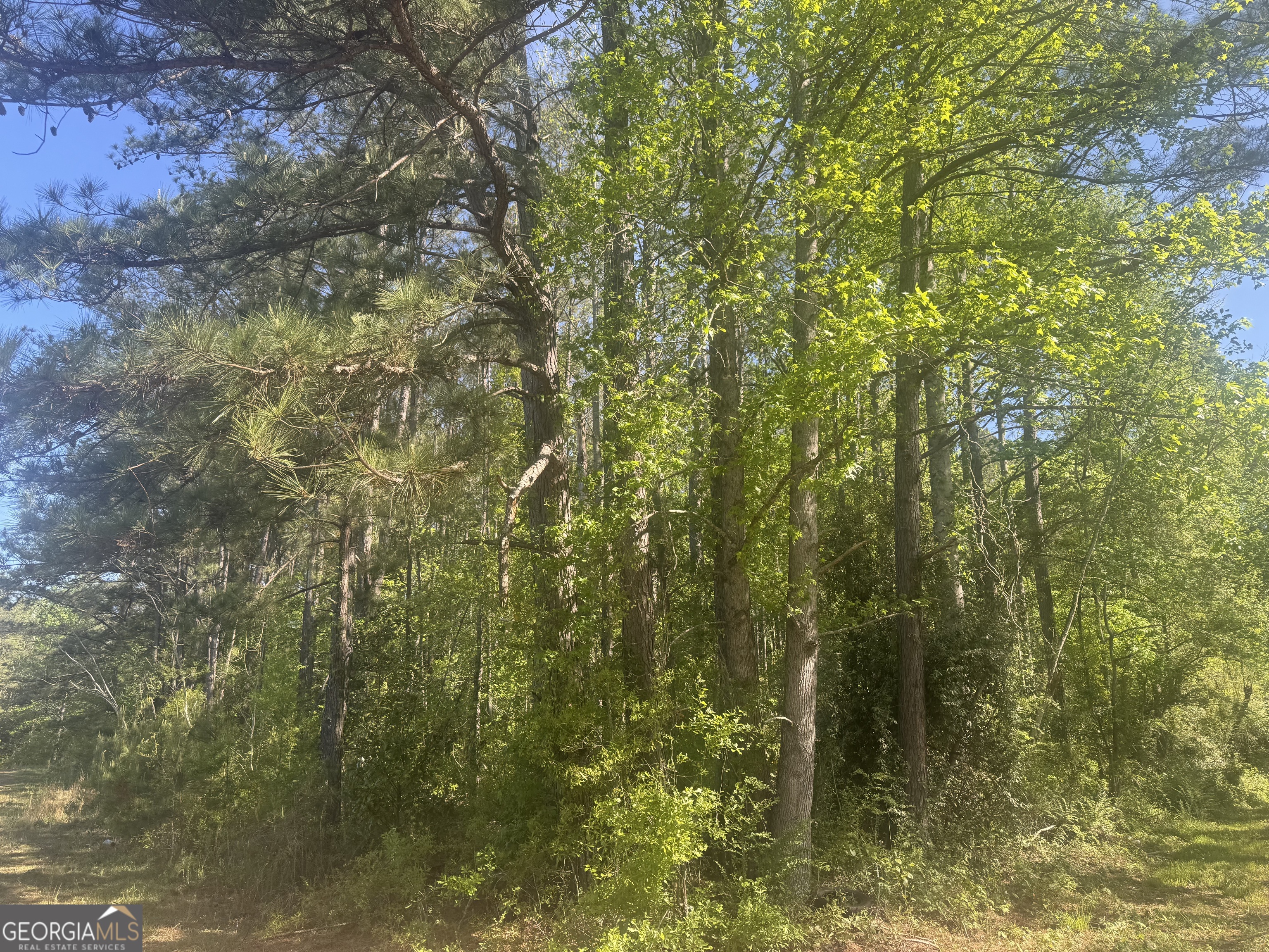 0 Satterwhite Street Property Photo 3