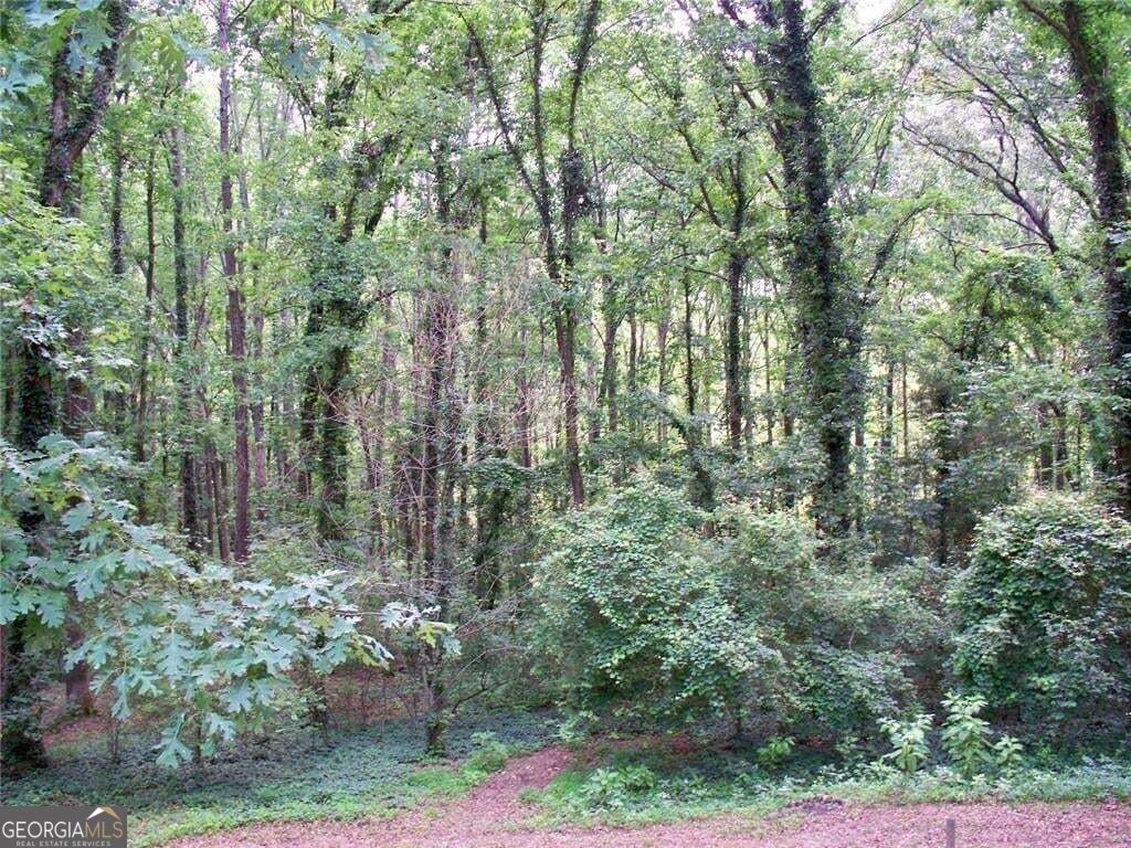 219 Park Avenue Property Photo 27