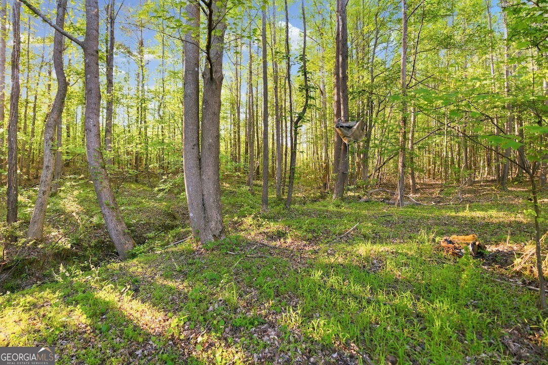 2239 Crossroads Church Road Property Photo 9