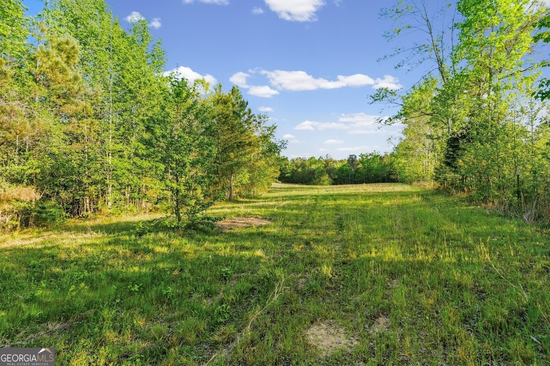 2239 Crossroads Church Road Property Photo 12