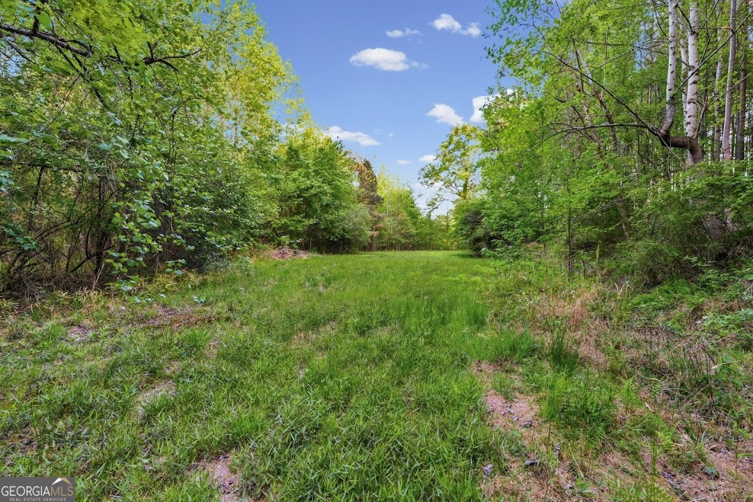 2239 Crossroads Church Road Property Photo 14