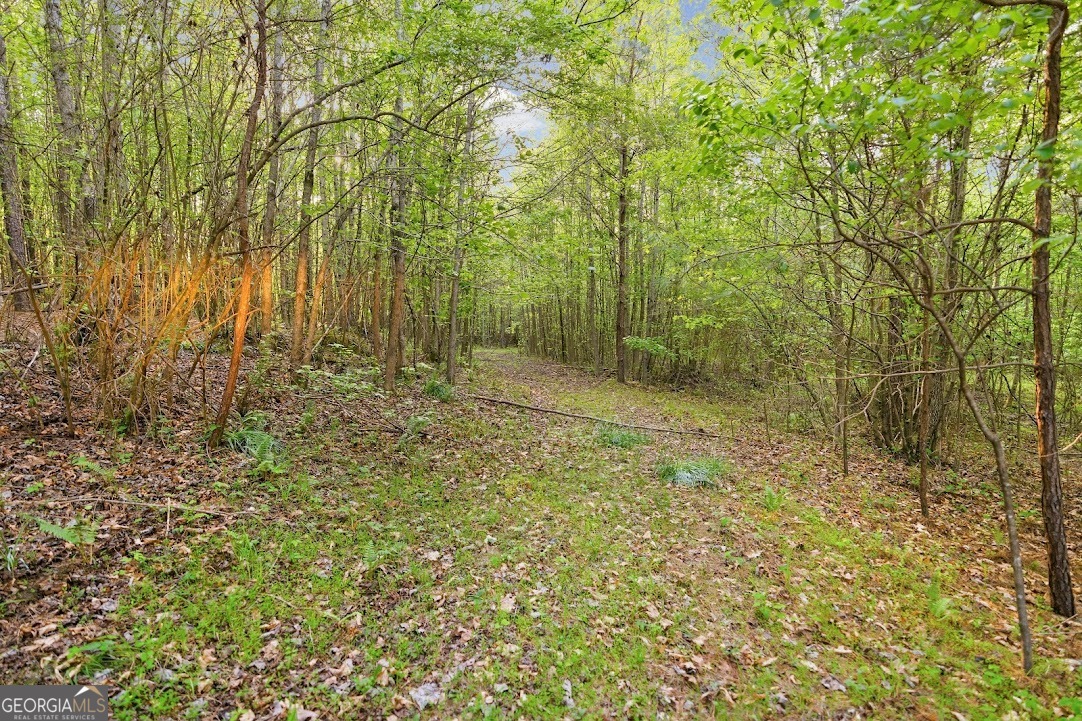 2239 Crossroads Church Road Property Photo 20