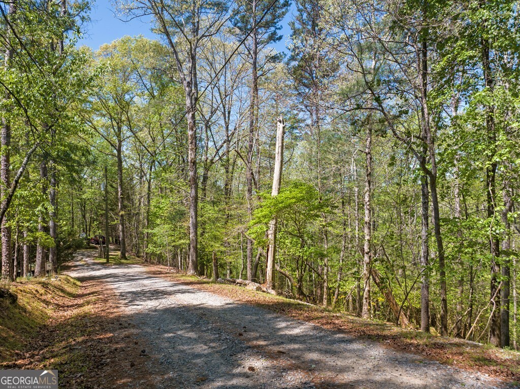 Lot 560 Chattle Way Property Photo 3