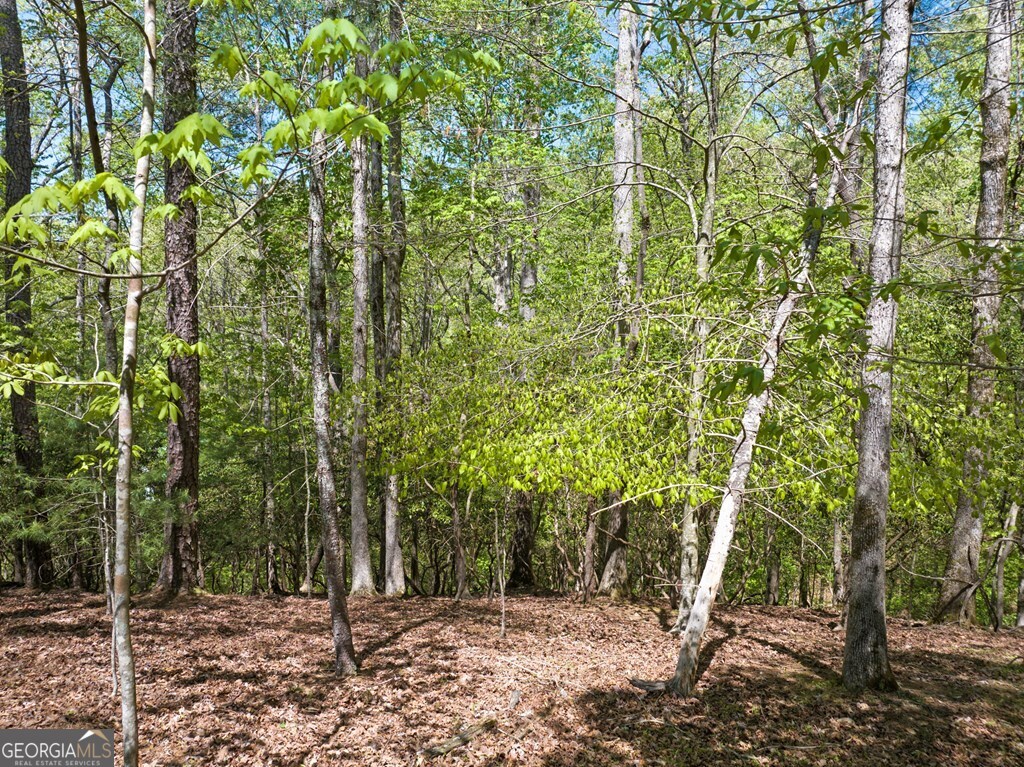 Lot 560 Chattle Way Property Photo 11