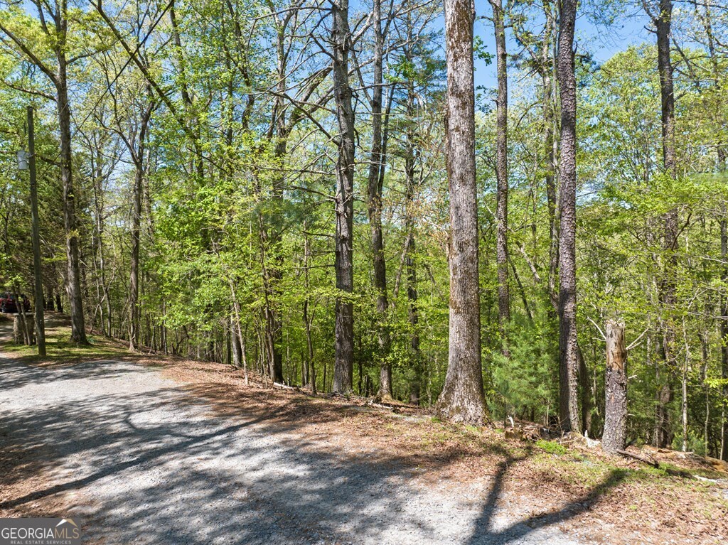 Lot 560 Chattle Way Property Photo 12