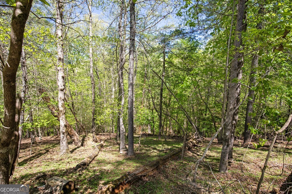 Lot 560 Chattle Way Property Photo 16