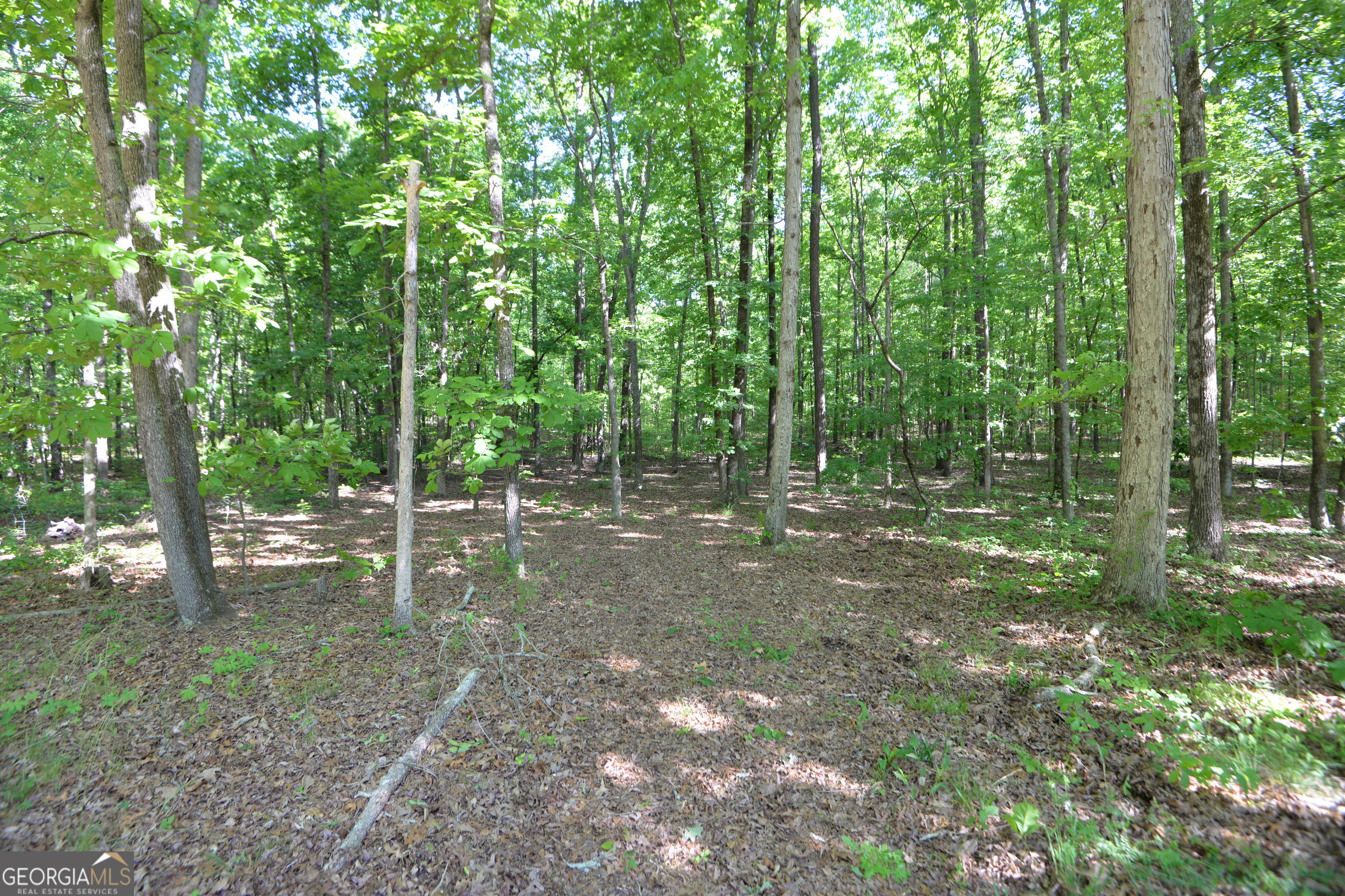 3478 Highway 81 W Property Photo 21