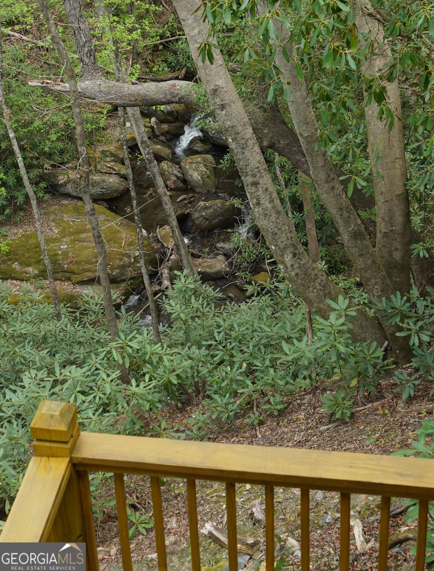 77 Denali Drive Property Photo 50