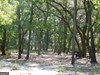 239 River Moss Road Property Photo 1