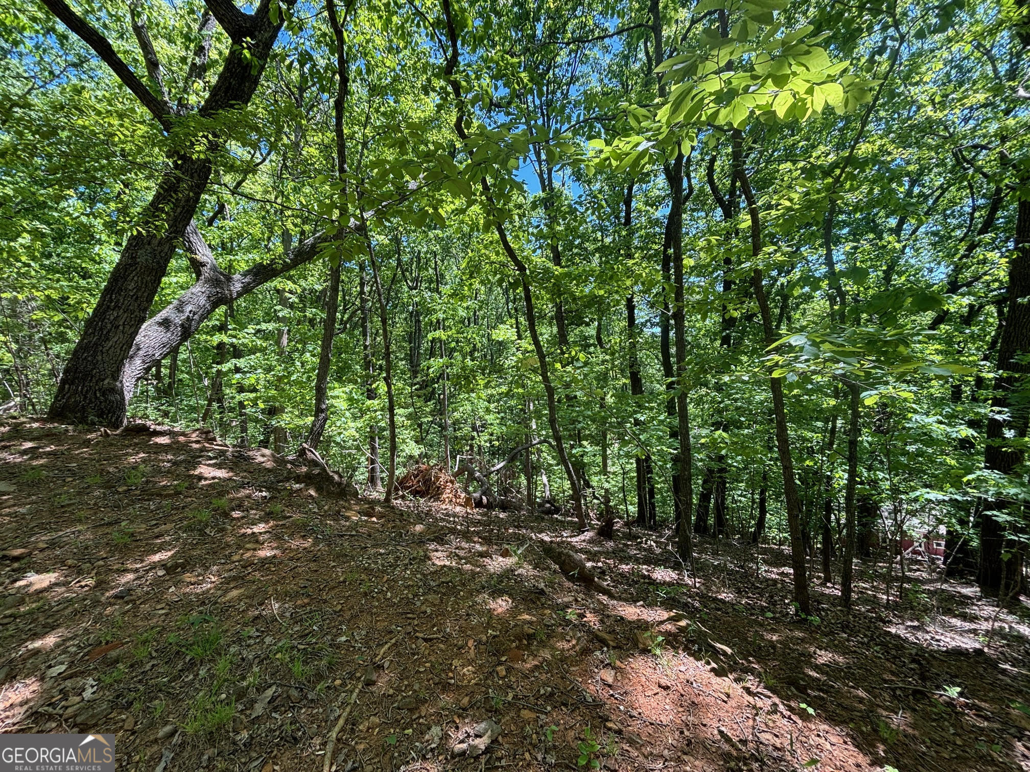0 Lookout Ridge Road # 11 Property Photo 1