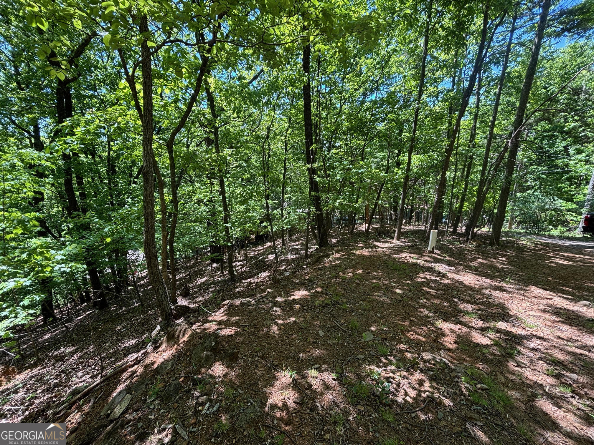 0 Lookout Ridge Road # 11 Property Photo 2