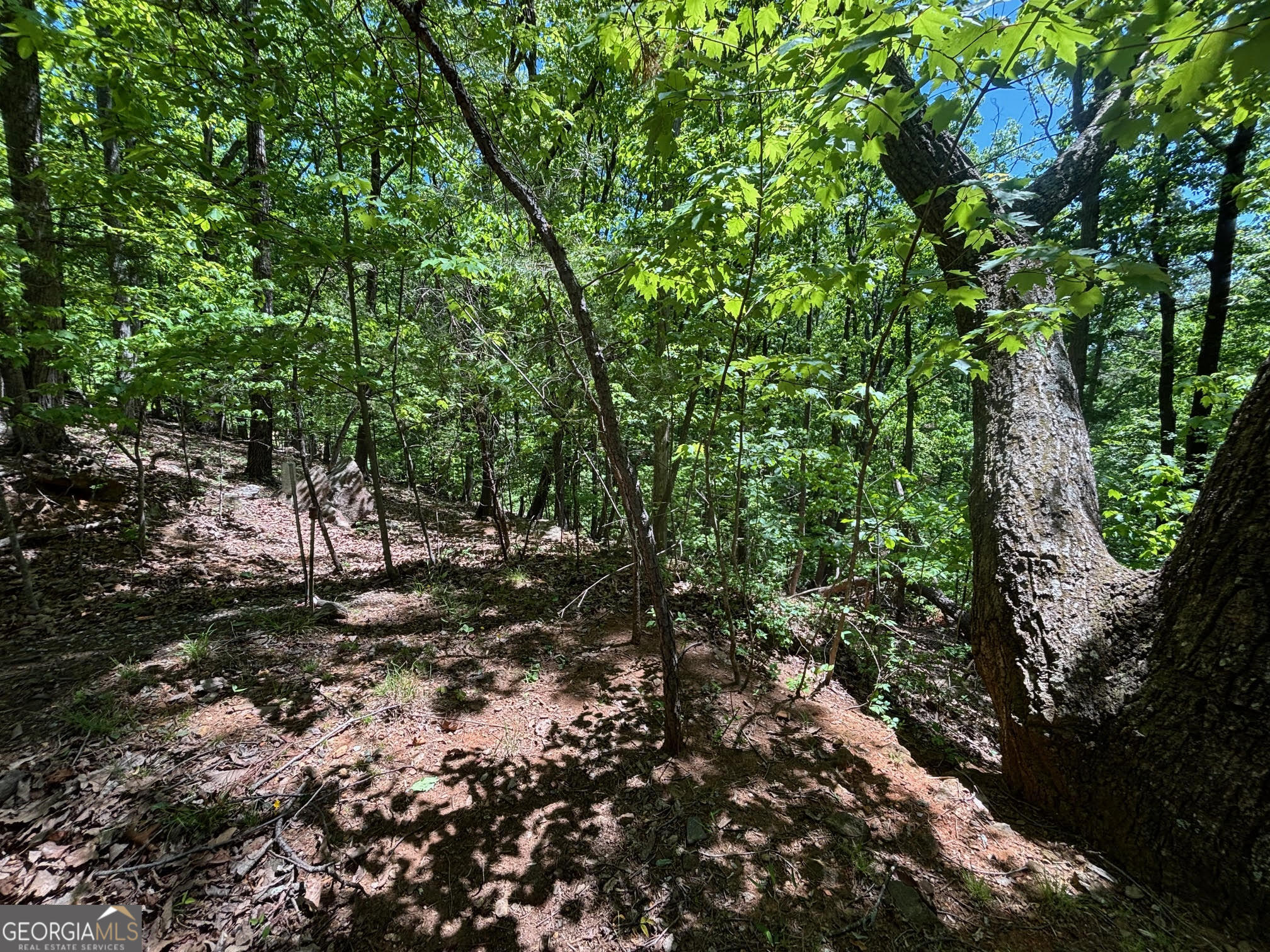0 Lookout Ridge Road # 11 Property Photo 4