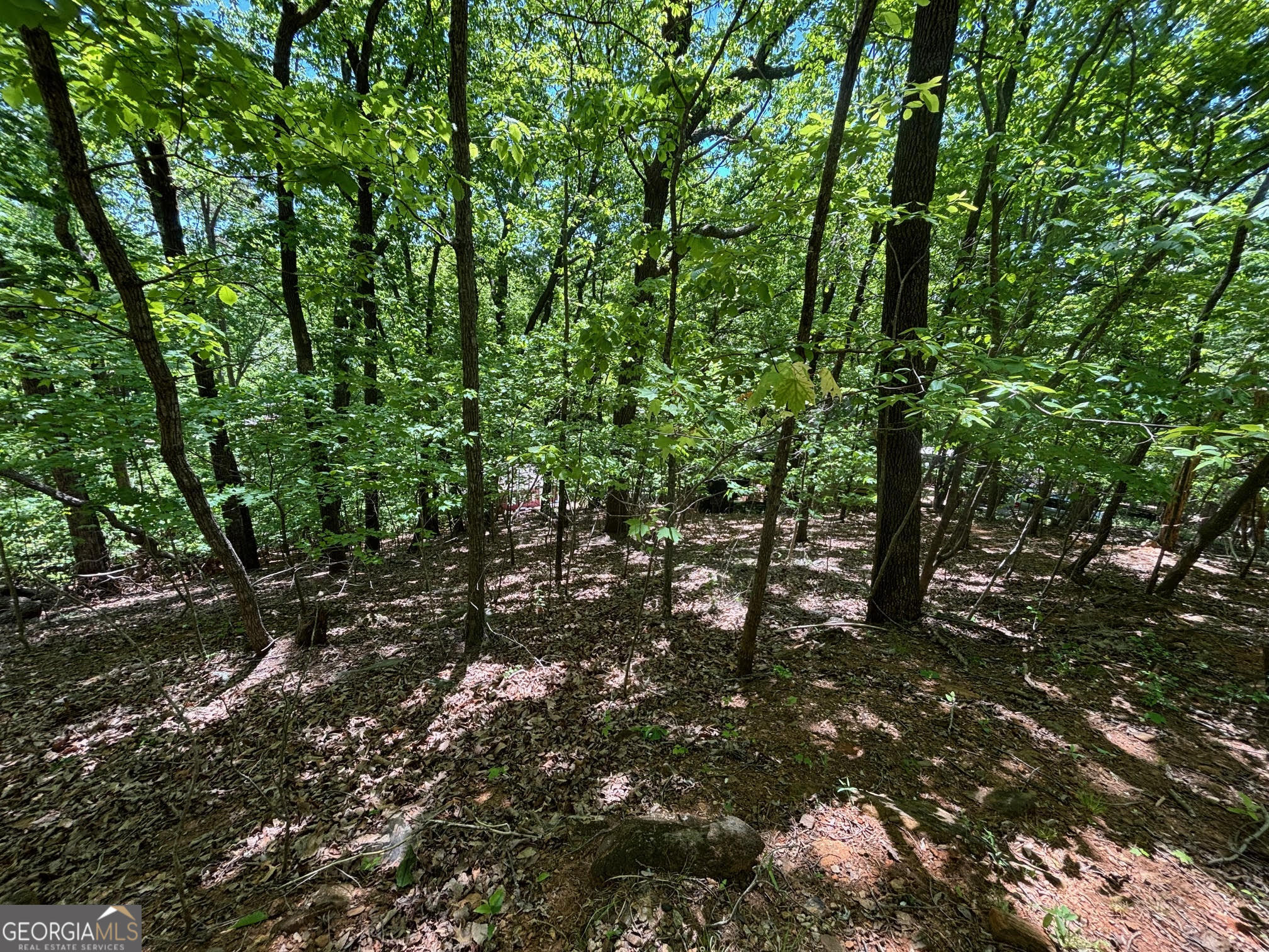 0 Lookout Ridge Road # 11 Property Photo 6