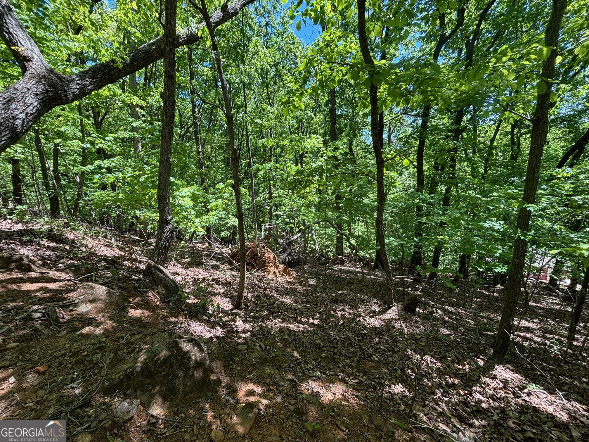 0 Lookout Ridge Road # 11 Property Photo 7