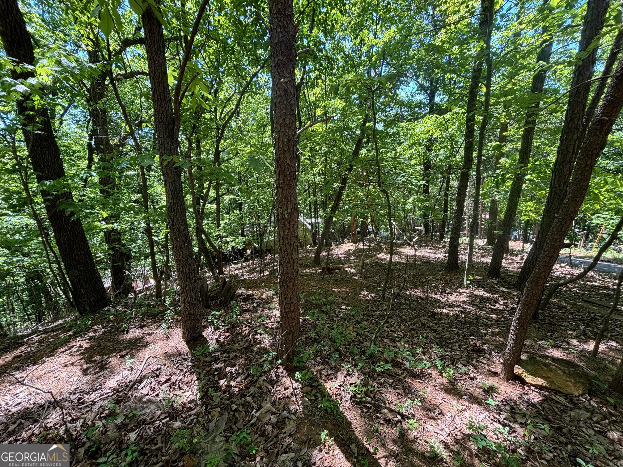 0 Lookout Ridge Road # 11 Property Photo 8