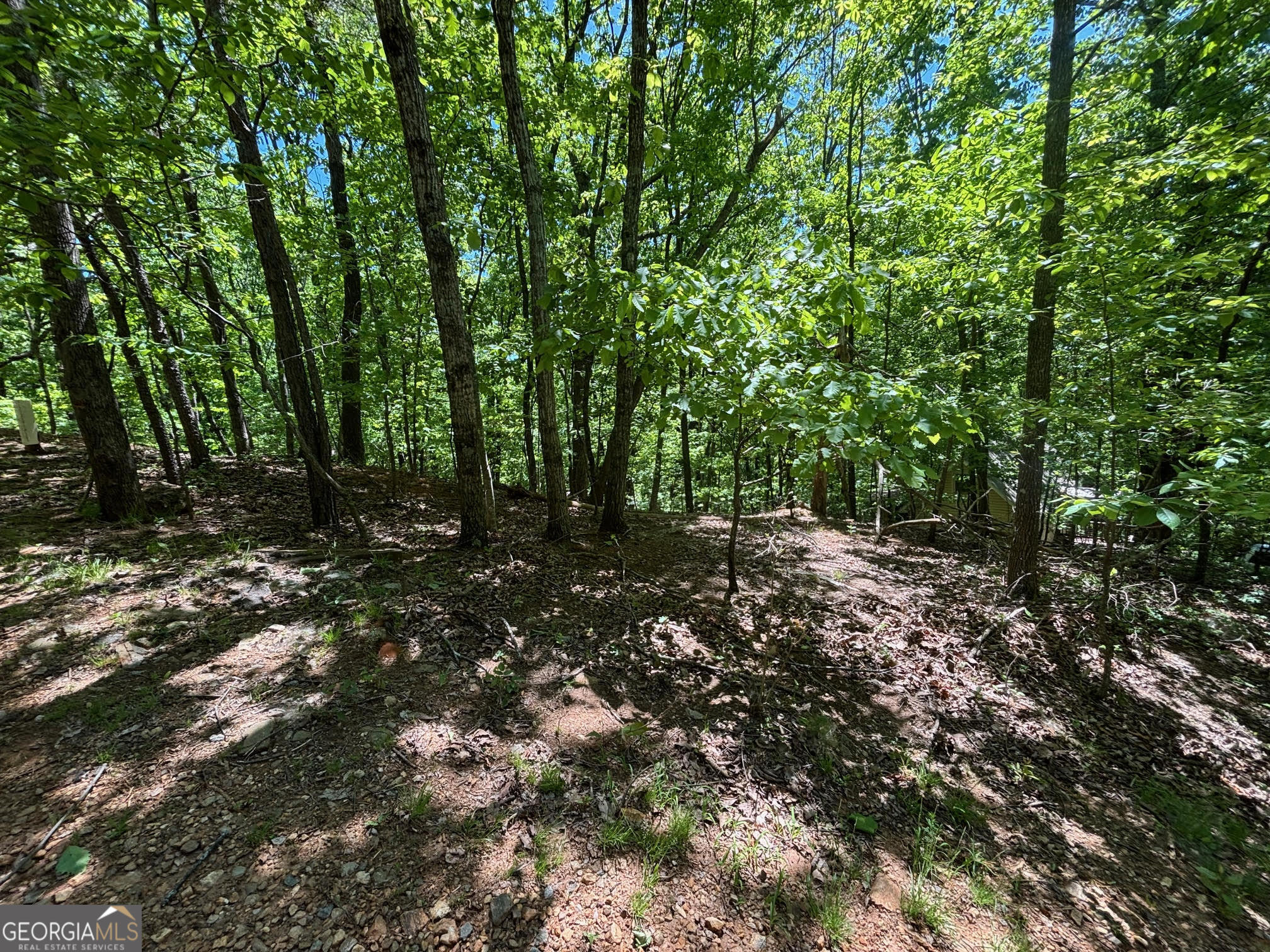 0 Lookout Ridge Road # 11 Property Photo 9