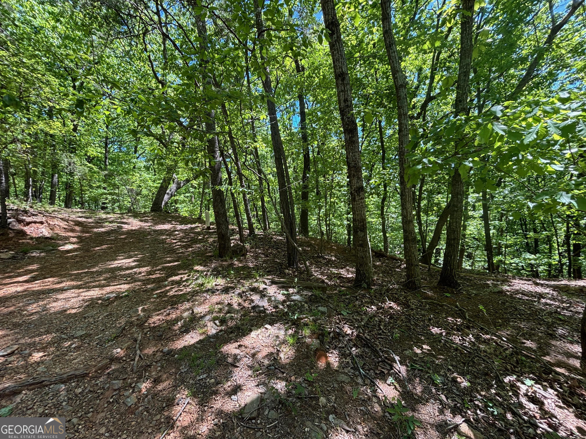 0 Lookout Ridge Road # 11 Property Photo 10