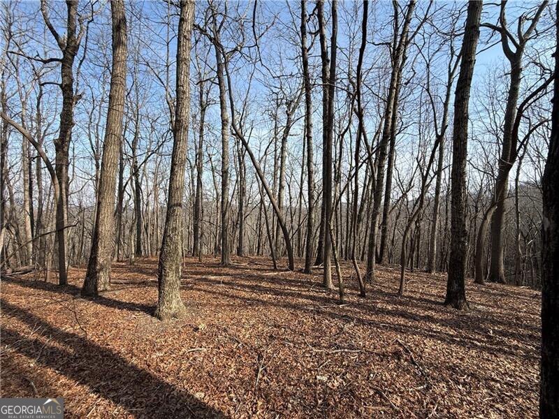 0 Burnt Mtn Cove Road Property Photo 2