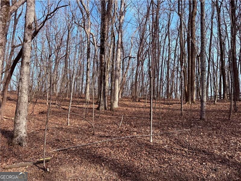 0 Burnt Mtn Cove Road Property Photo 3