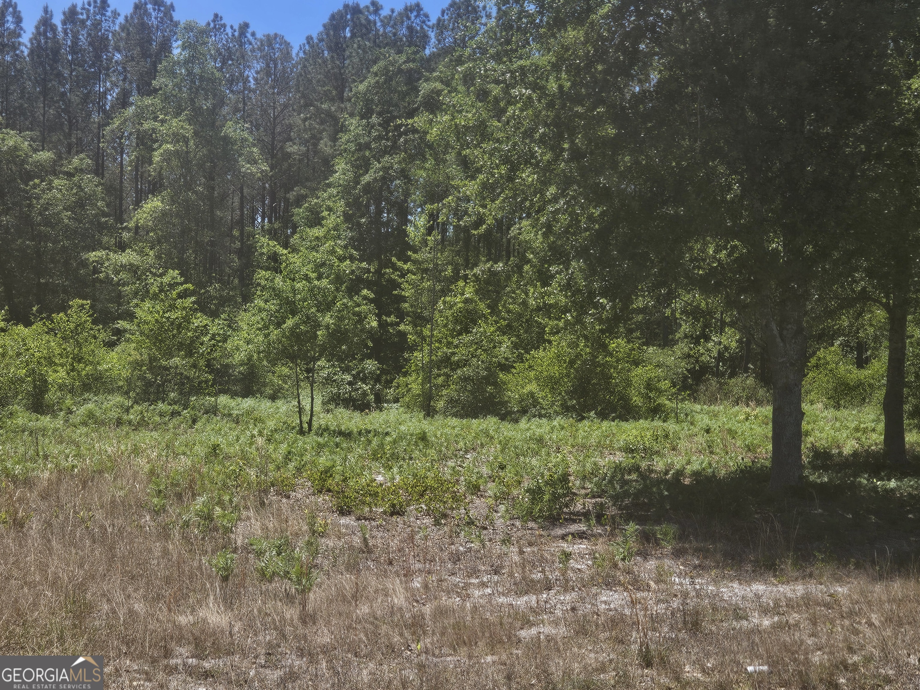 0 Edgar Lane Road Property Photo 1