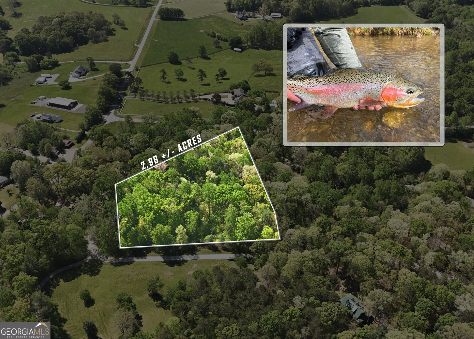 LOT 3 Fenwick Wood Road