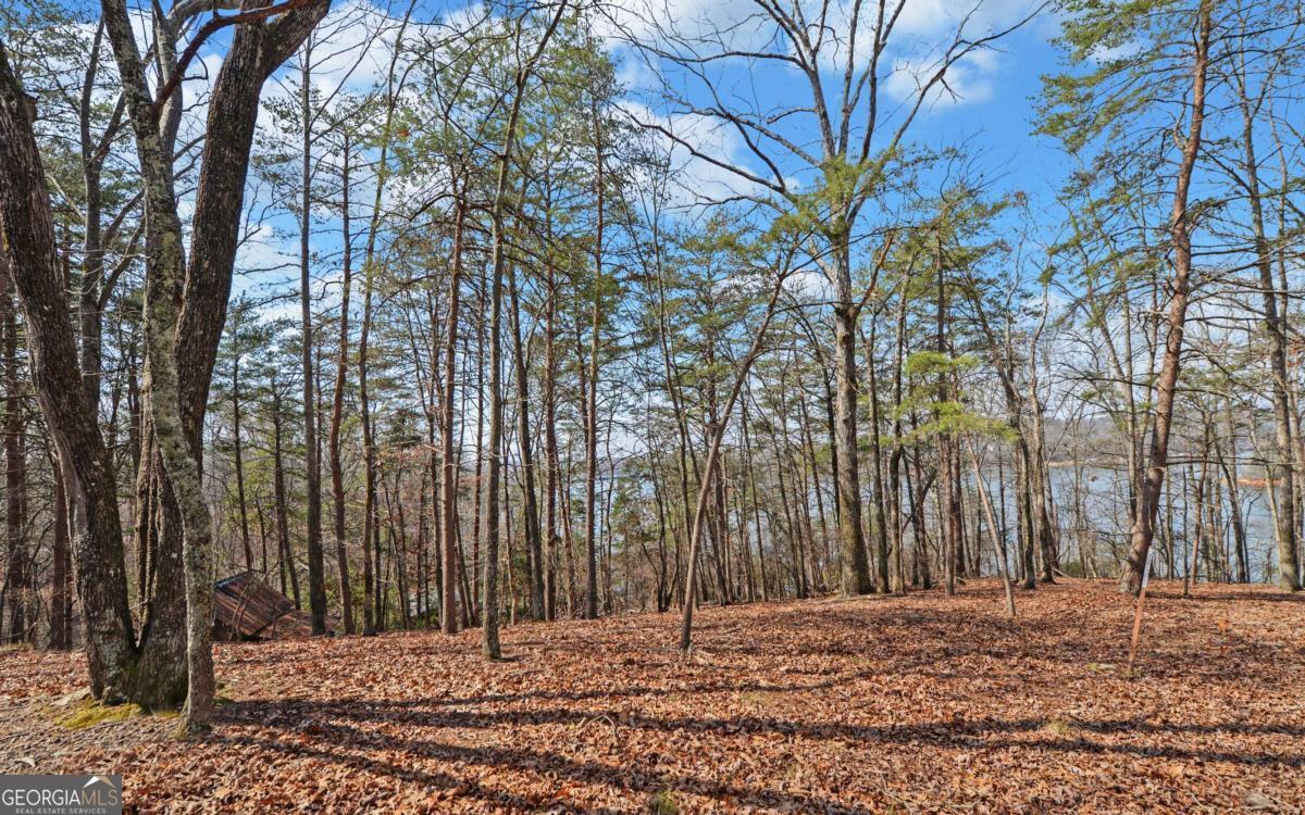 2290 Boy Scout Camp Road Property Photo 3