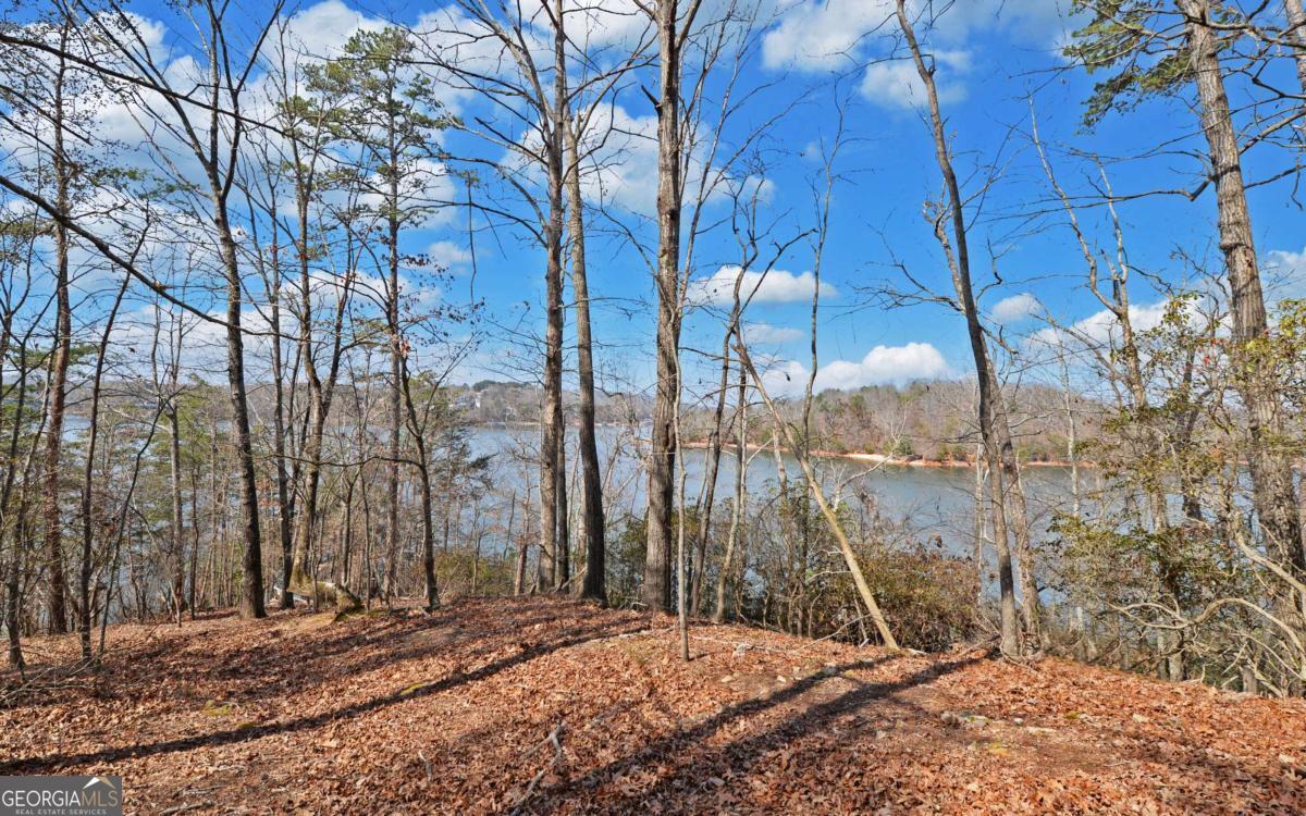 2290 Boy Scout Camp Road Property Photo 5