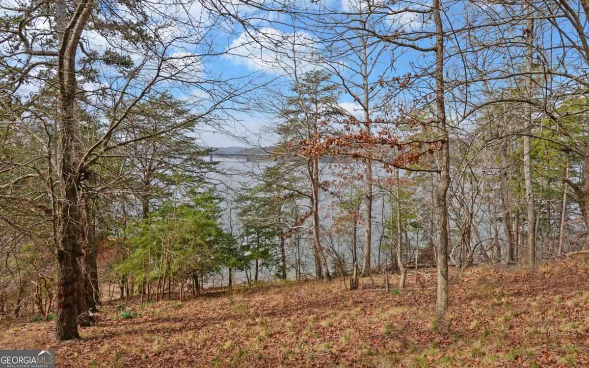 2290 Boy Scout Camp Road Property Photo 32