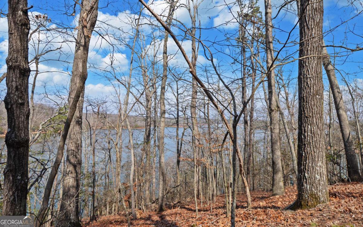 2290 Boy Scout Camp Road Property Photo 33