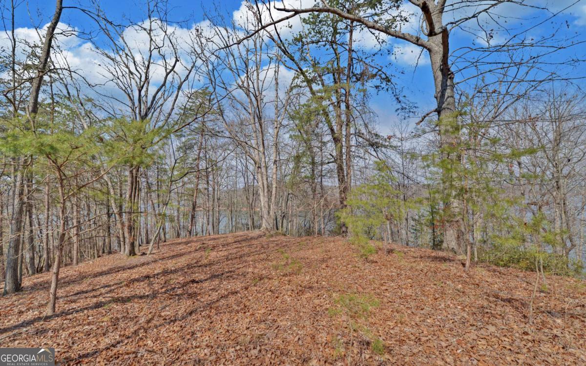 2290 Boy Scout Camp Road Property Photo 35
