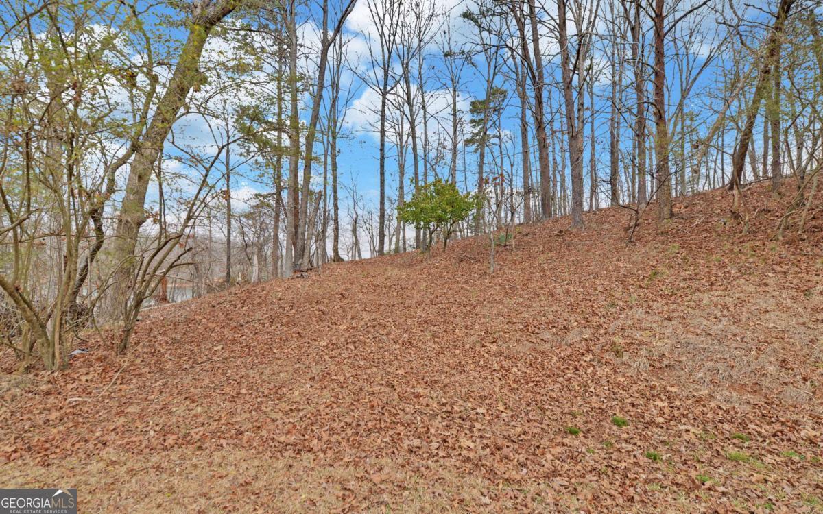 2290 Boy Scout Camp Road Property Photo 37