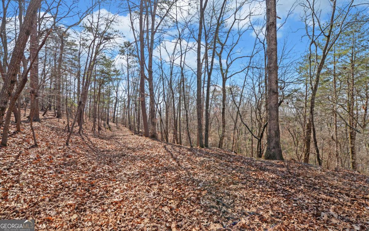 2290 Boy Scout Camp Road Property Photo 38
