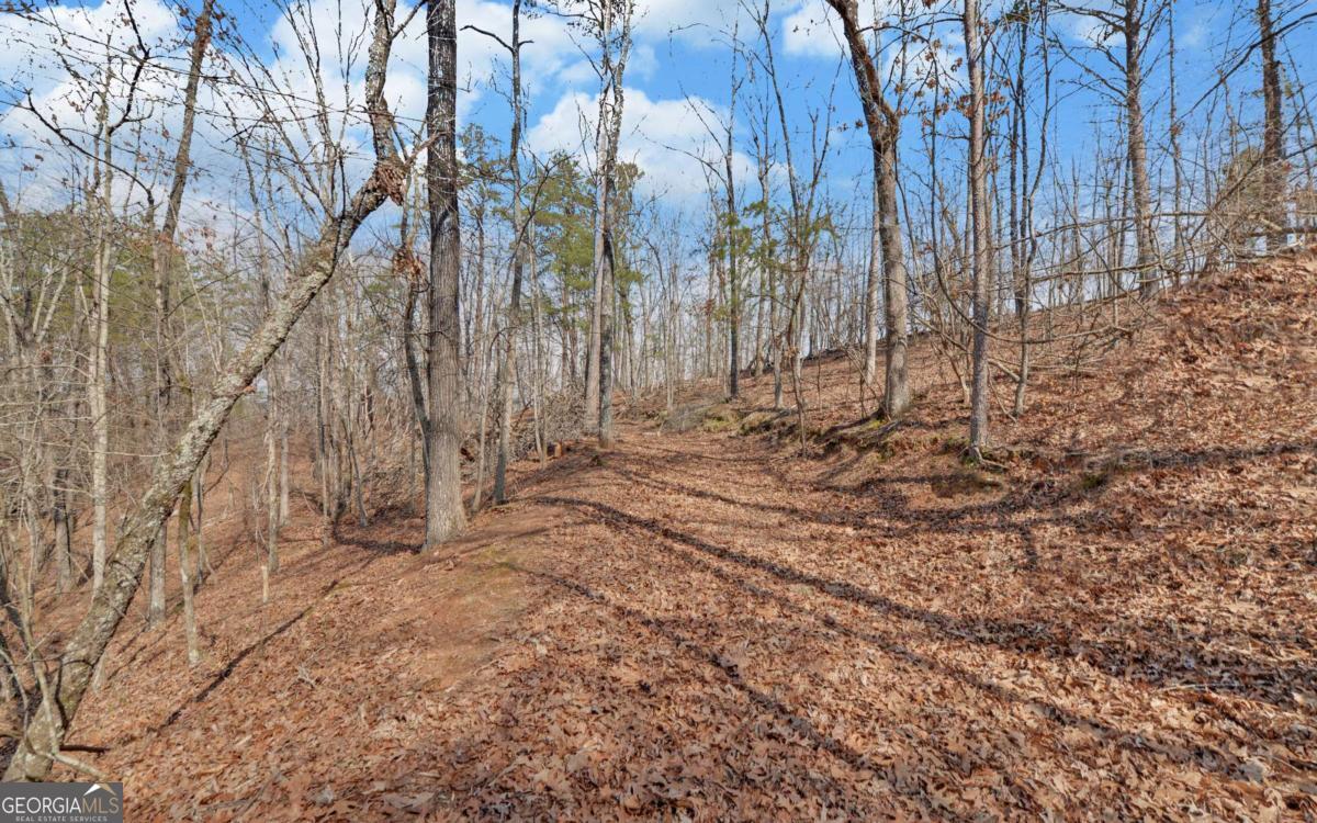 2290 Boy Scout Camp Road Property Photo 39