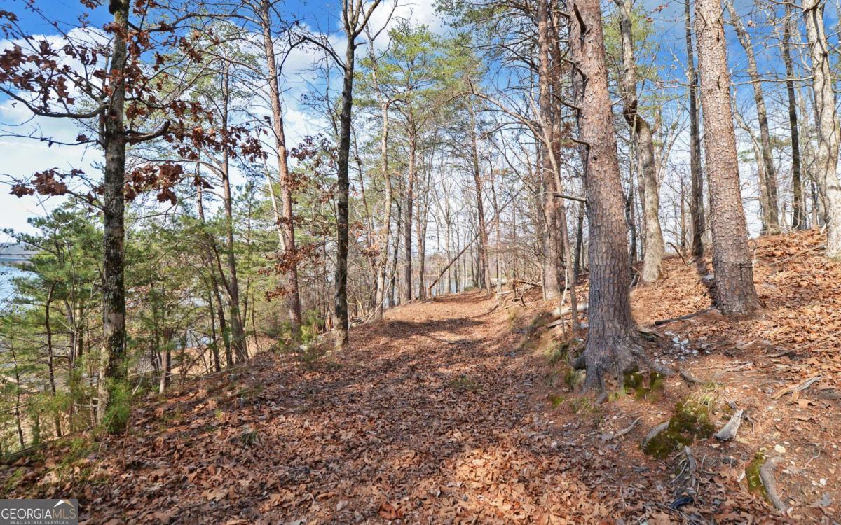 2290 Boy Scout Camp Road Property Photo 40