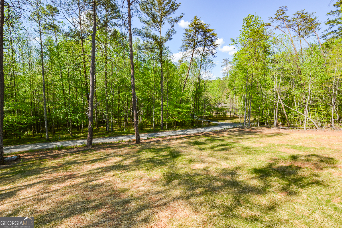 258 Rocky Hollow Road Property Photo 7