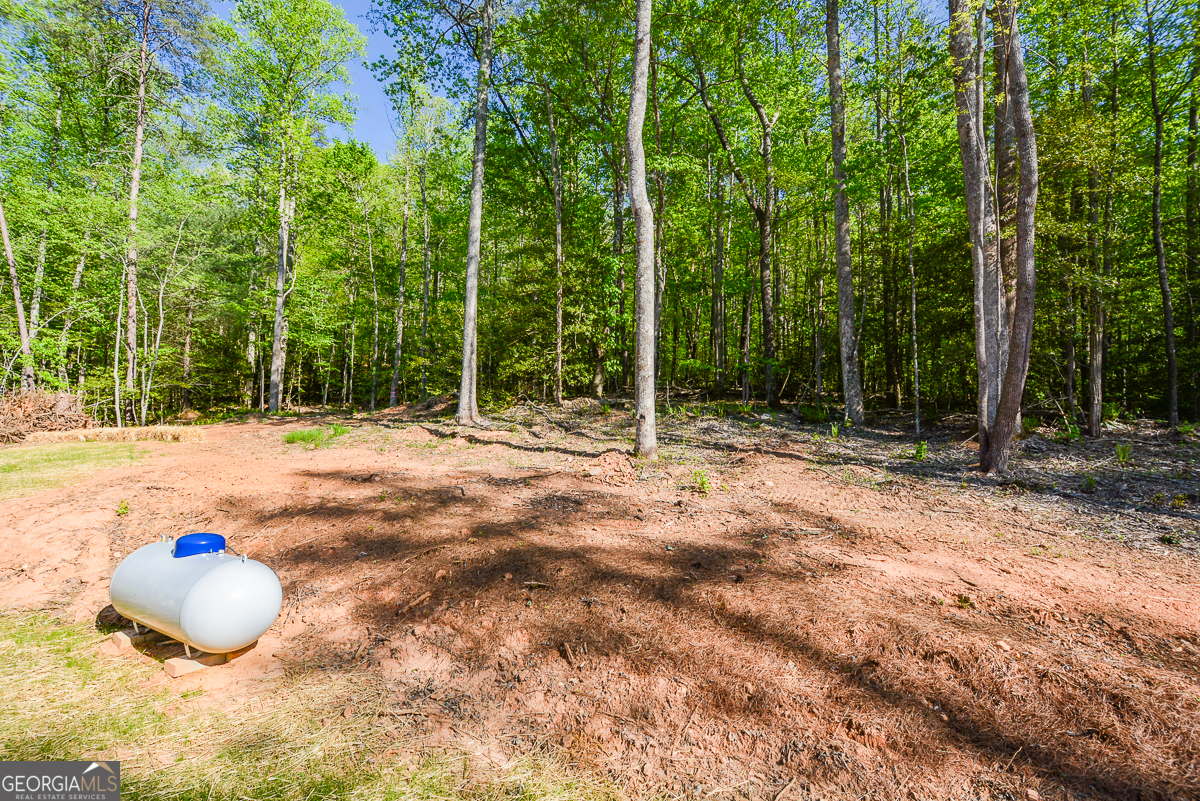 258 Rocky Hollow Road Property Photo 41