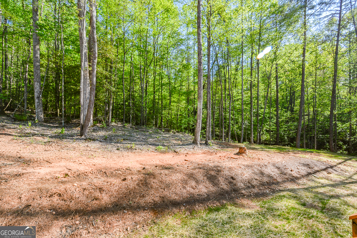 258 Rocky Hollow Road Property Photo 42