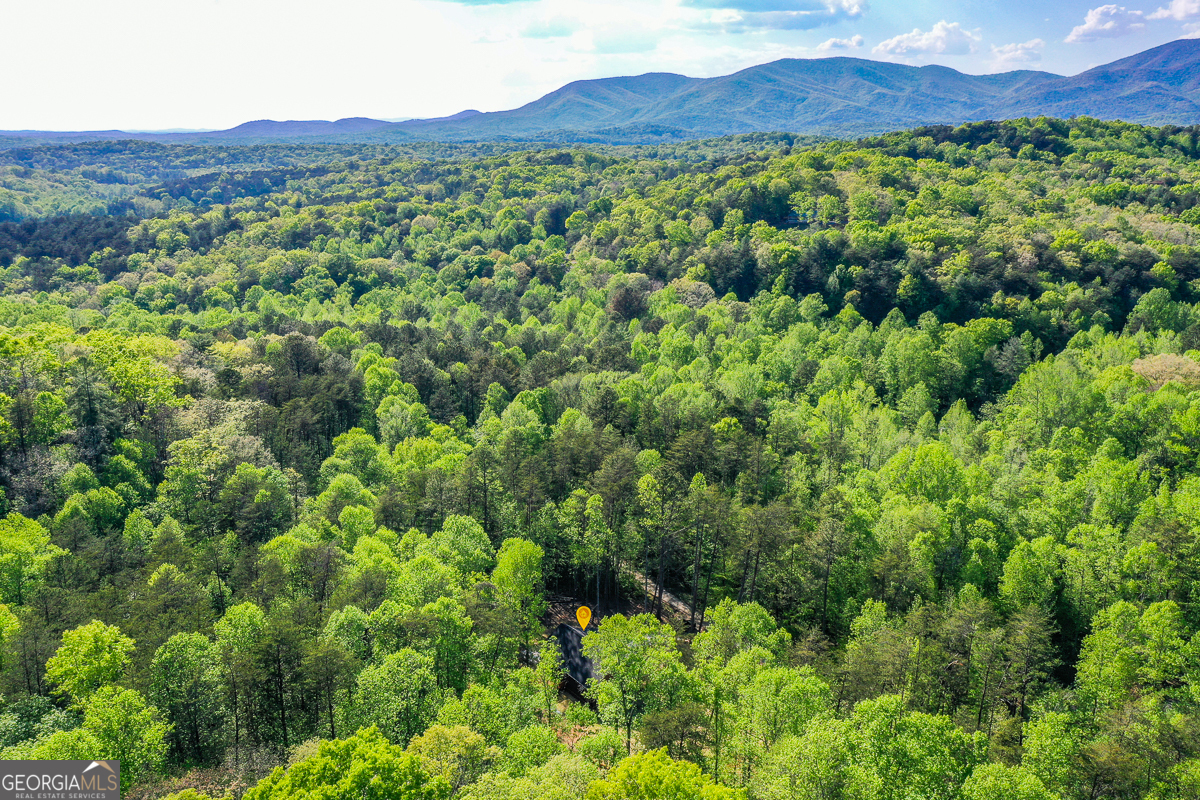 258 Rocky Hollow Road Property Photo 55
