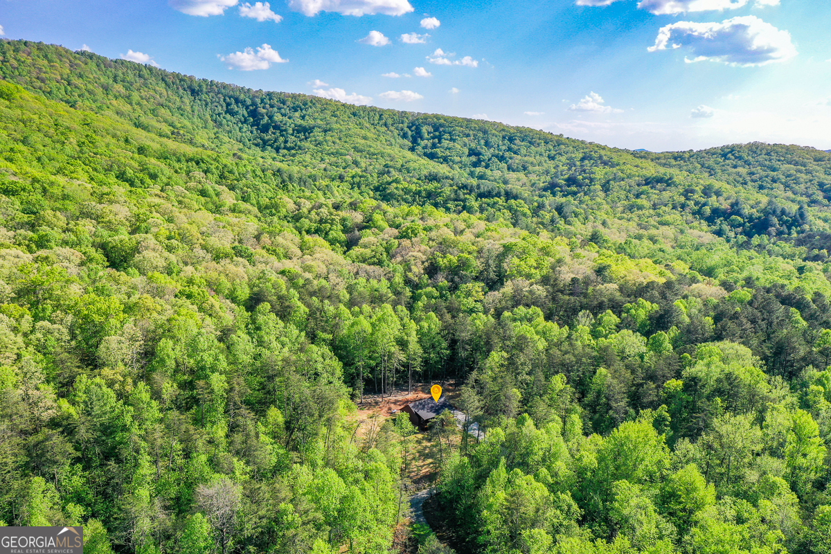 258 Rocky Hollow Road Property Photo 56