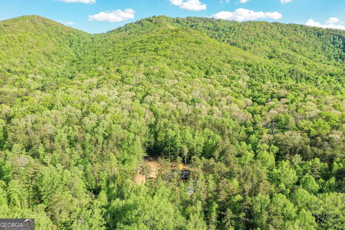 258 Rocky Hollow Road Property Photo 57