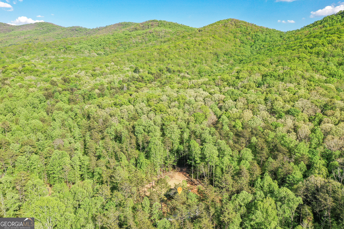 258 Rocky Hollow Road Property Photo 58