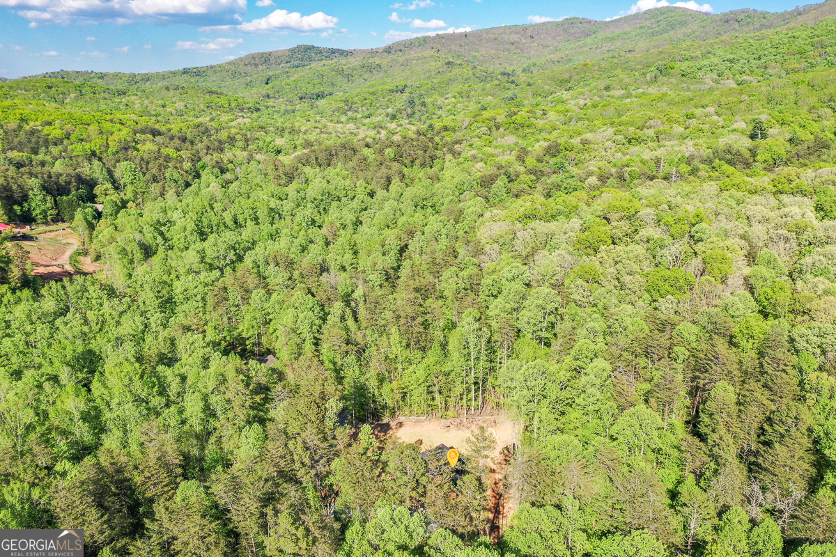 258 Rocky Hollow Road Property Photo 59