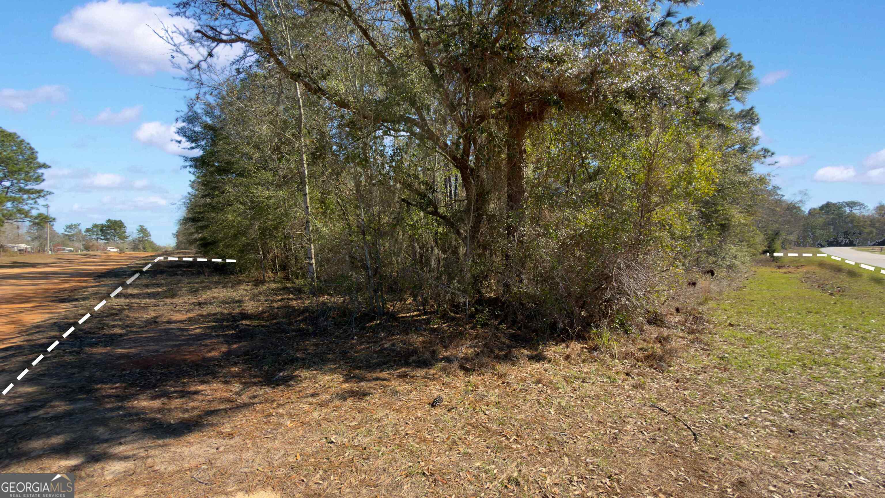 91 Lake Carroll Drive Property Photo 15